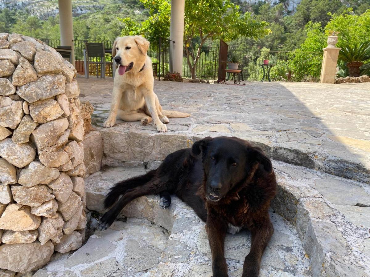 Agroturisme Es Picot Son Macia  Dış mekan fotoğraf