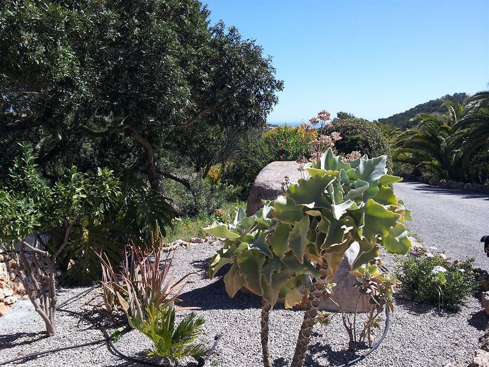 Agroturisme Es Picot Son Macia  Dış mekan fotoğraf